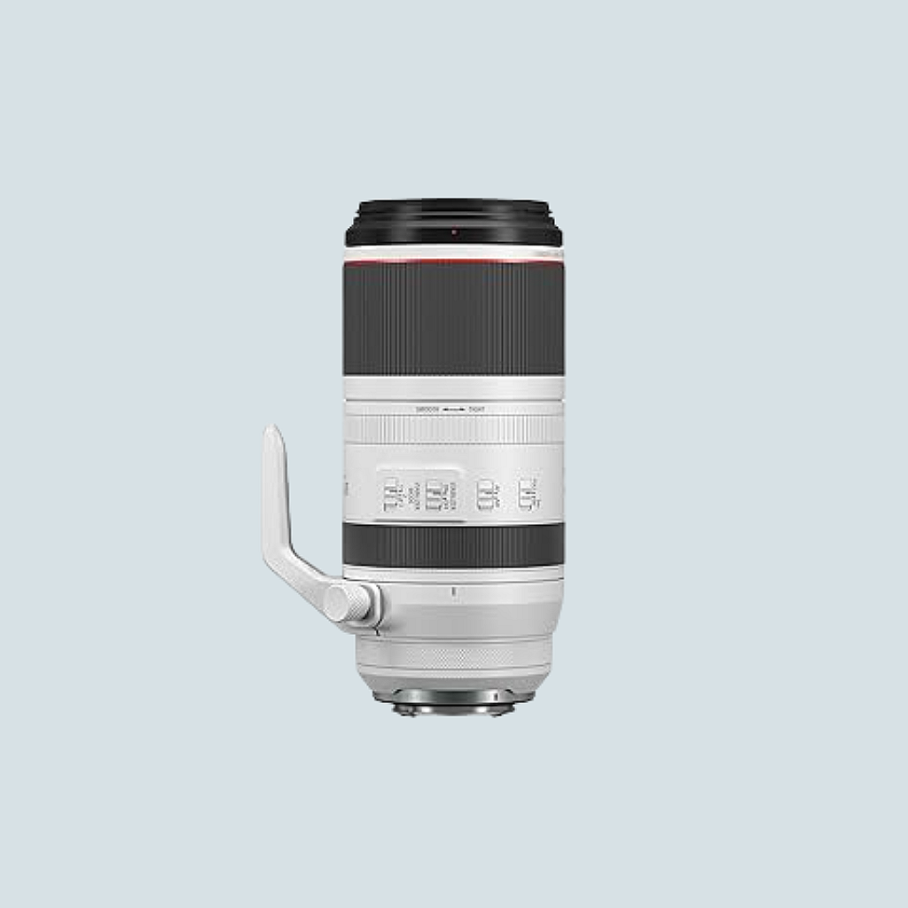 Canon RF 100-500 F4.5-7.1 L IS USM | SavithriPhotohouse